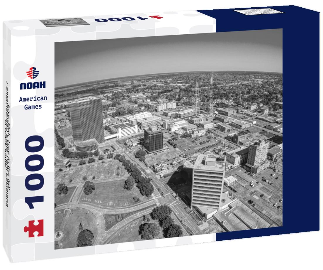 Noah Jigsaw Puzzle Live-Oak Tree in the fall Fontainebleau State Park Louisiana in black white 1000 pieces