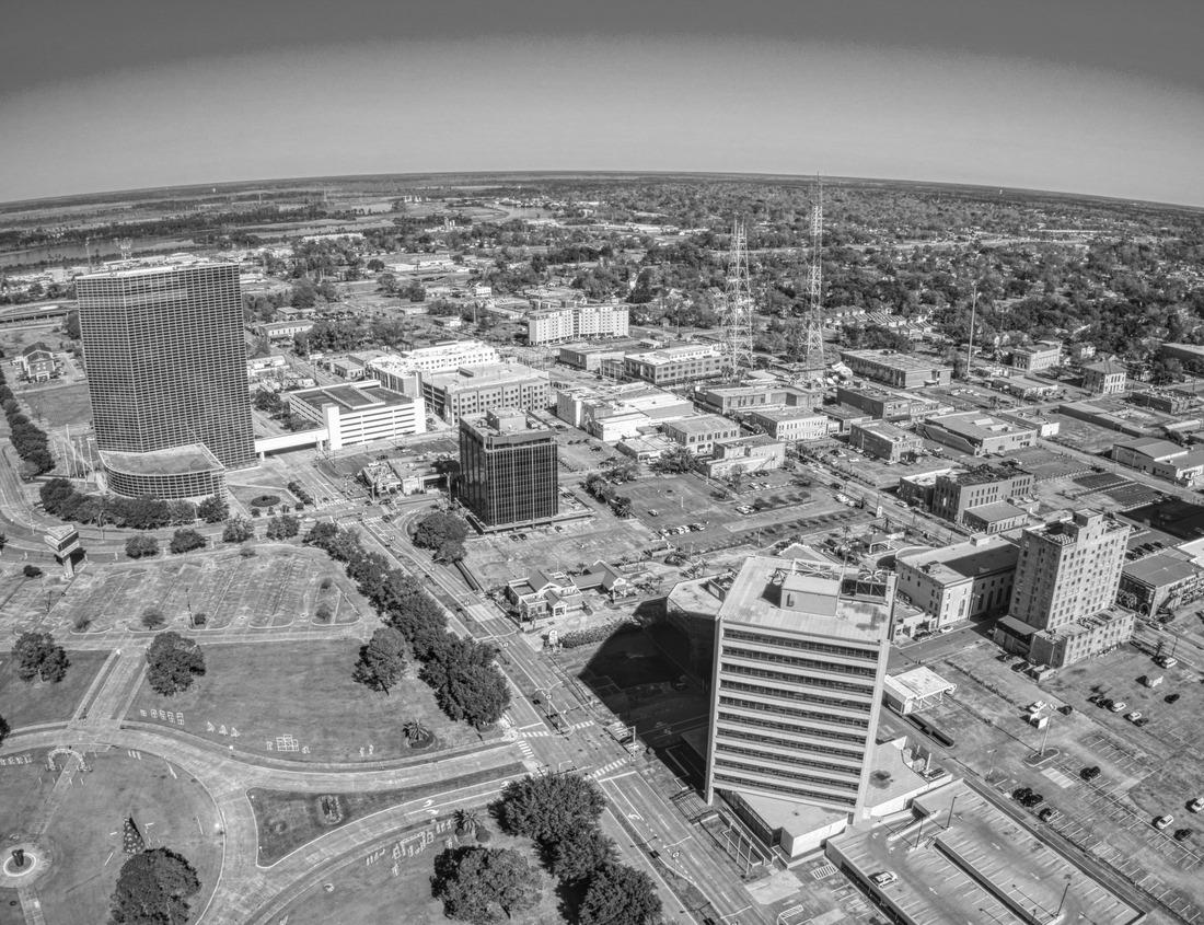 Noah Jigsaw Puzzle Live-Oak Tree in the fall Fontainebleau State Park Louisiana in black white 1000 pieces