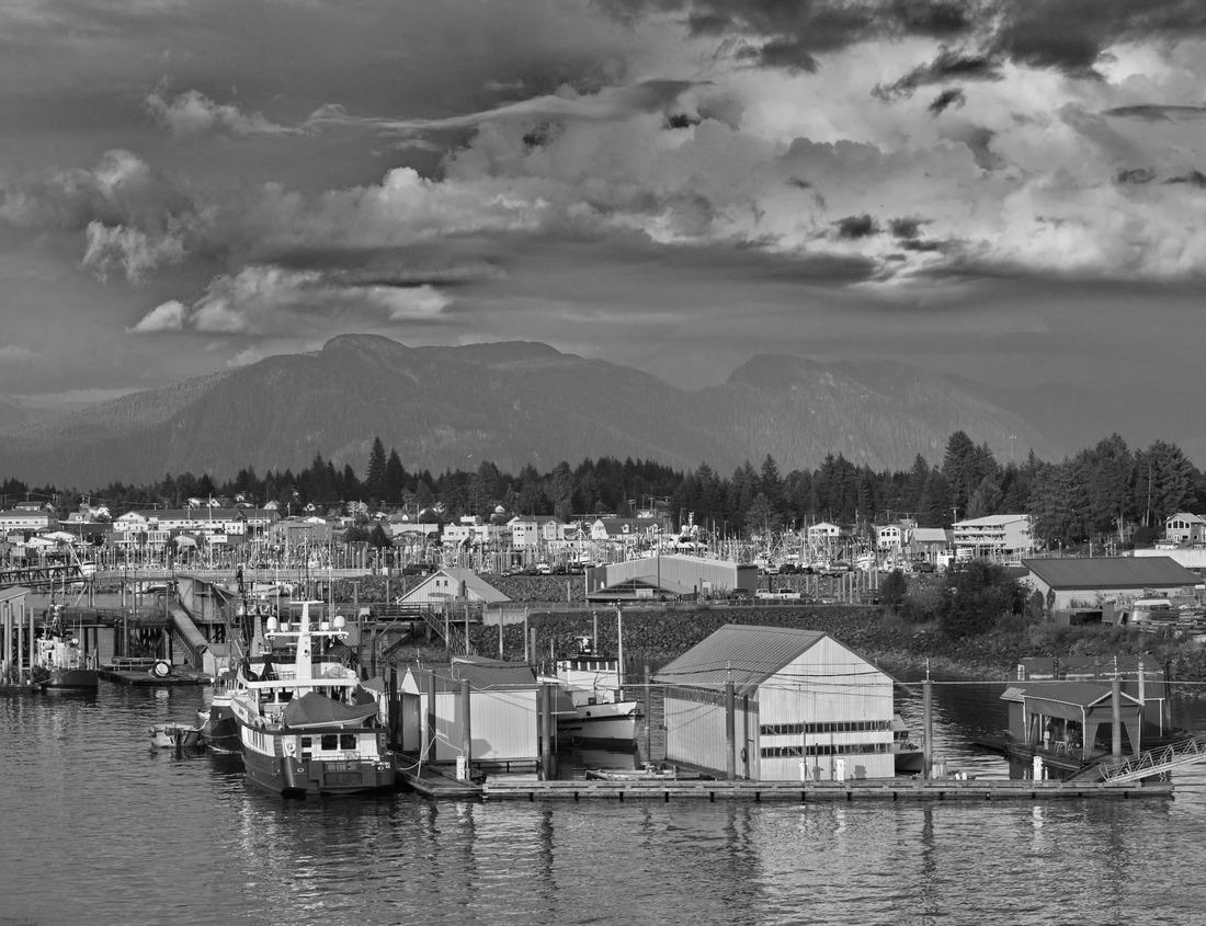 Noah Jigsaw Puzzle Denton County Courthouse, Denton in black white 1000 pieces