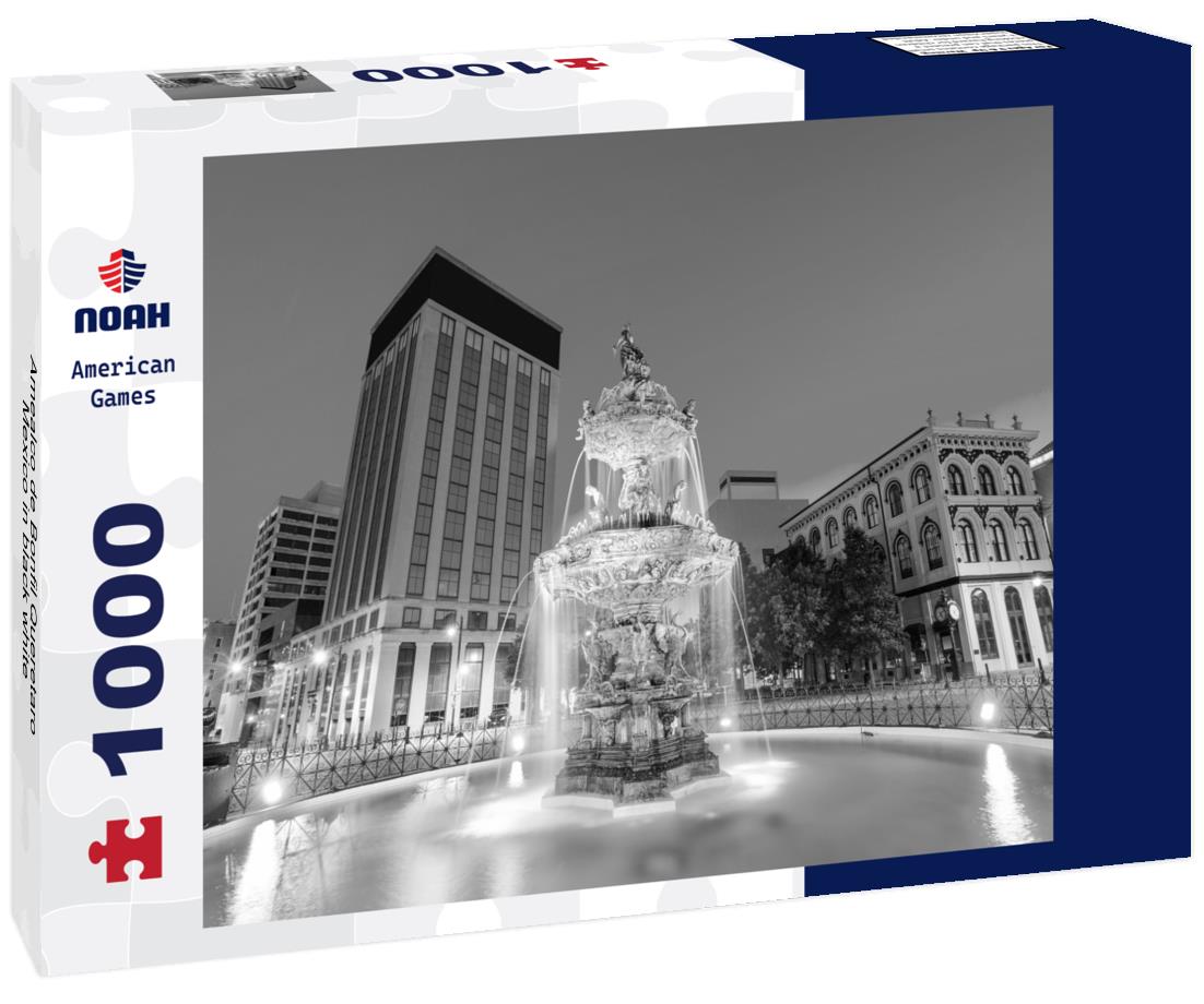 Noah Jigsaw Puzzle Amealco de Bonfil Queretaro Mexico in black white 1000 pieces