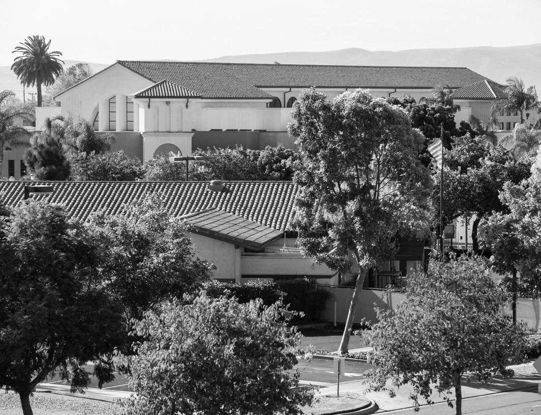 Noah Jigsaw Puzzle The Stiftskirche is a church in the center of Stuttgart, the capital of Baden-Württemberg. View from above of the city buildings in black white 1000 pieces