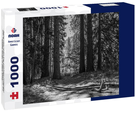 Noah Jigsaw Puzzle Aerial view of the bay and town of Hanalei with famous pier as the sun rises over the wildlife refuge in black white 1000 pieces