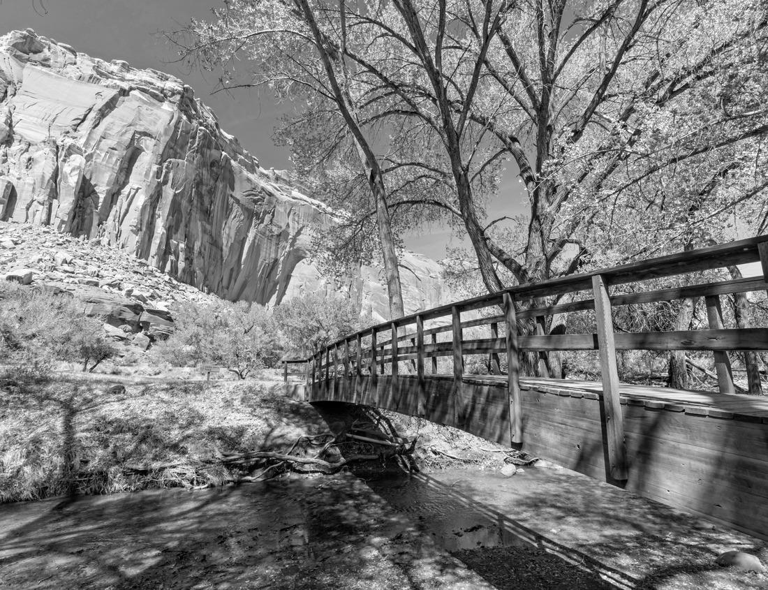 Noah Jigsaw Puzzle Tourist visiting at Pura ulun danu bratan temple in Bali, Indonesia in black white 1000 pieces