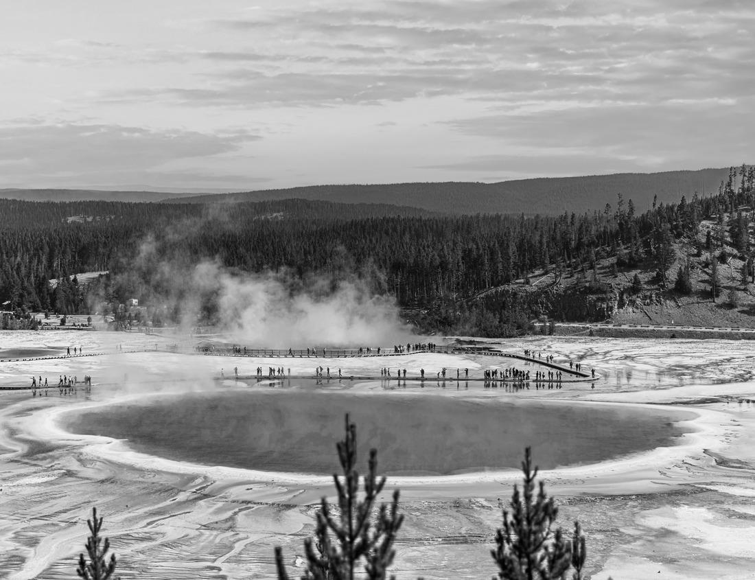 Noah Jigsaw Puzzle Beautiful architecture of the city of Lebork with fortified buildings of the Teutonic Castle, Poland in black white 1000 pieces