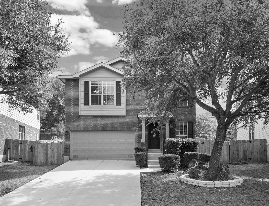 Noah Jigsaw Puzzle Norfolk, Virginia, USA downtown skyline on the Elizabeth River in the morning in black white 1000 pieces