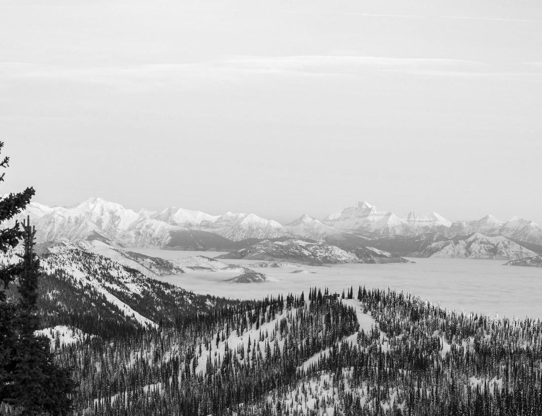 Noah Jigsaw Puzzle The historic German town of Rotenburg an der Fulda in black white 1000 pieces