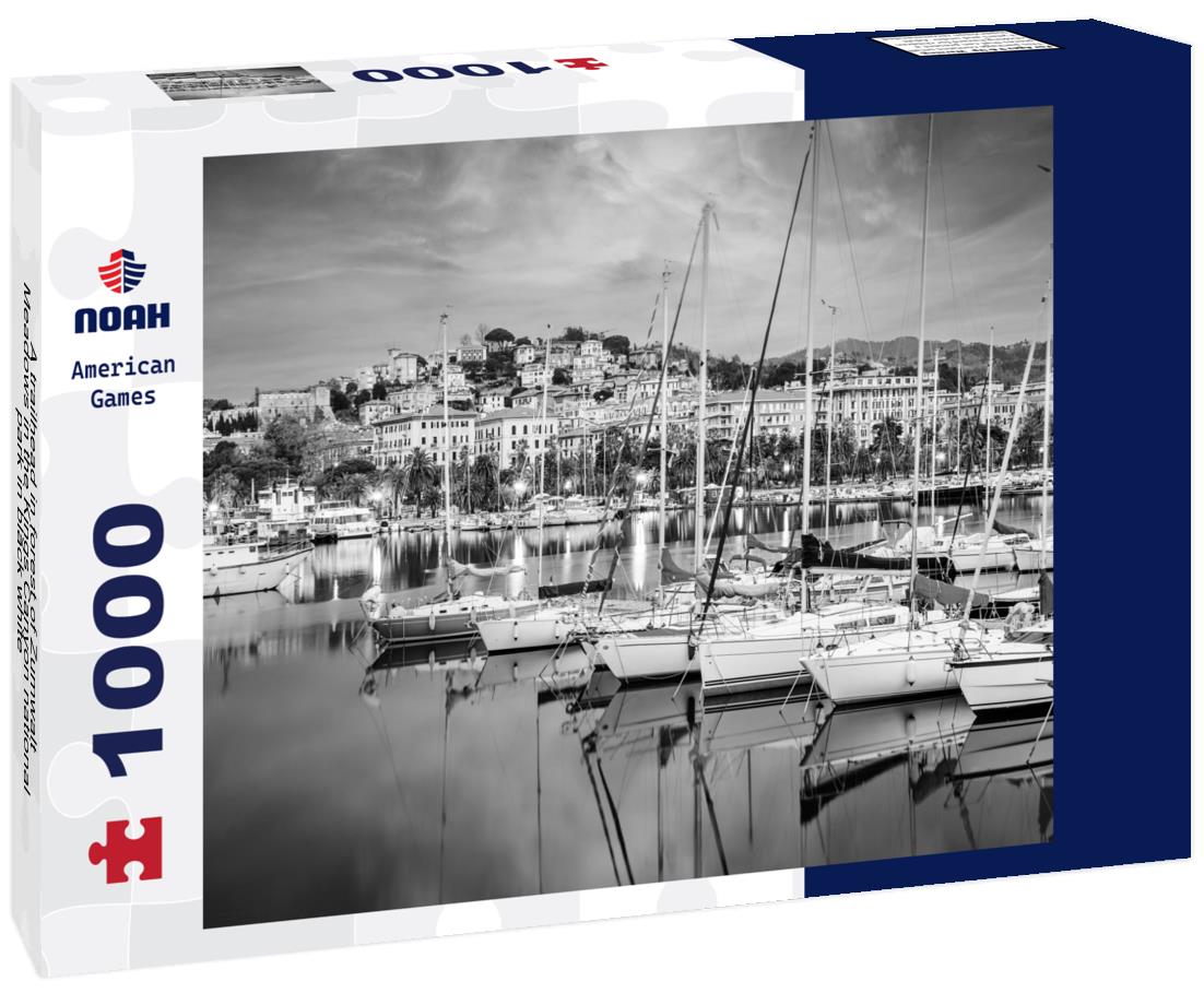 Noah Jigsaw Puzzle A trailhead in forest of Zumwalt Meadows in the Kings Canyon national park in black white 1000 pieces