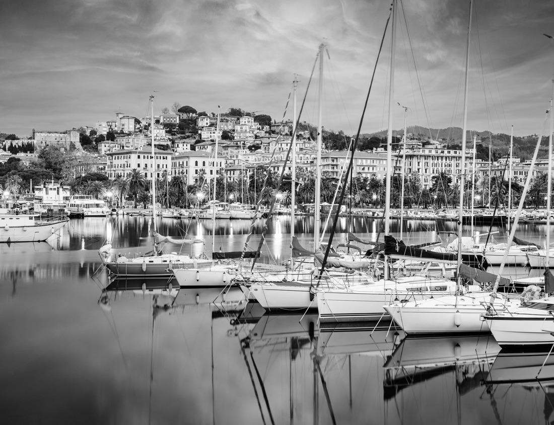 Noah Jigsaw Puzzle A trailhead in forest of Zumwalt Meadows in the Kings Canyon national park in black white 1000 pieces