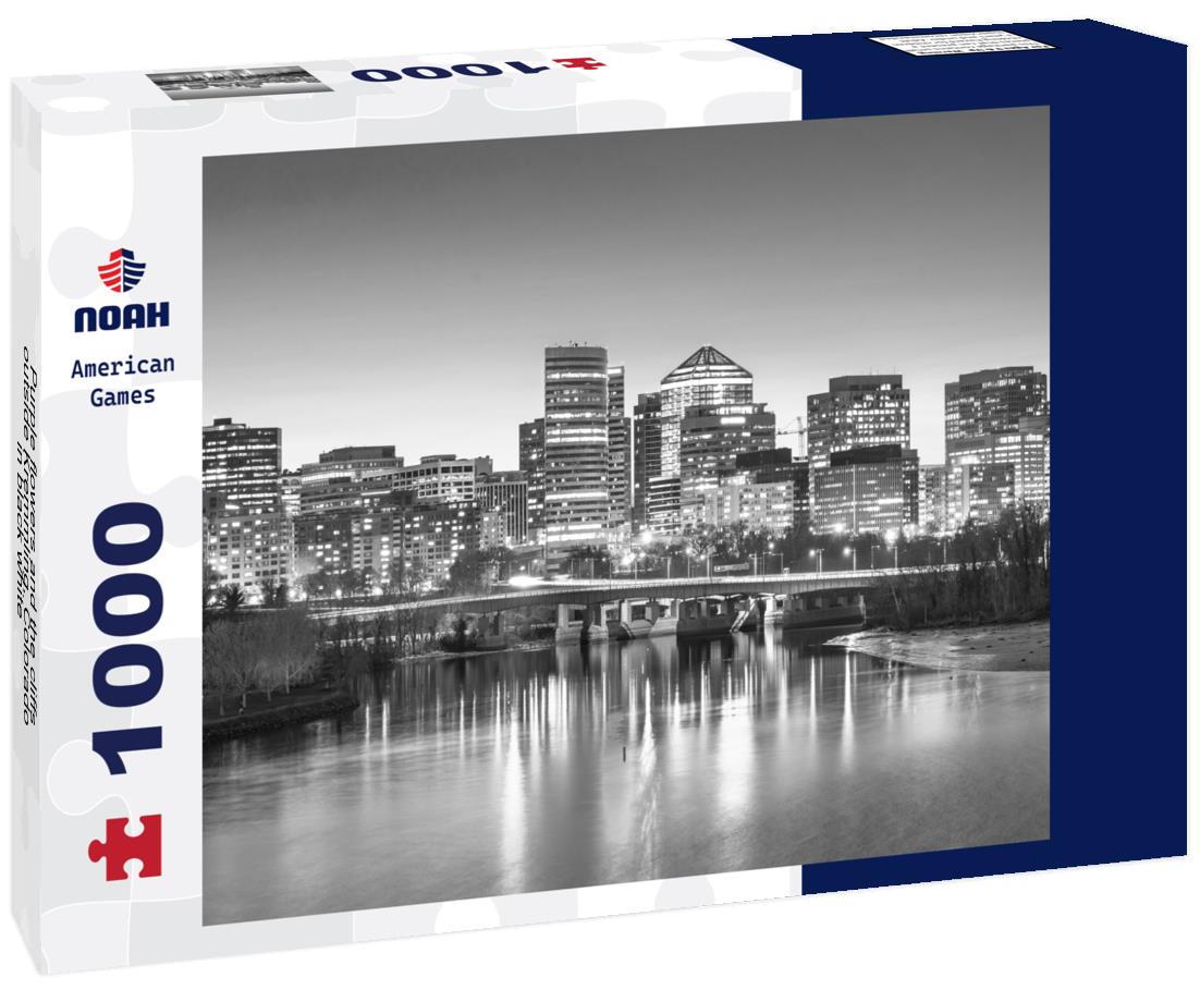 Noah Jigsaw Puzzle Purple flowers and the cliffs outside Kremmling, Colorado in black white 1000 pieces