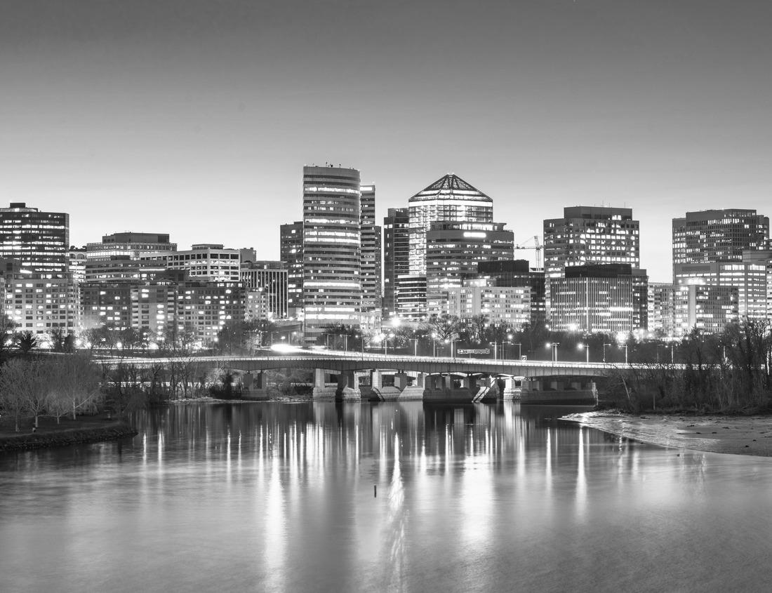 Noah Jigsaw Puzzle Purple flowers and the cliffs outside Kremmling, Colorado in black white 1000 pieces