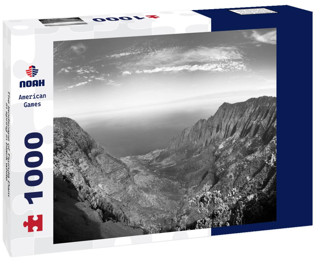 Noah Jigsaw Puzzle The landscape of Tsuruta Dam in spring in black white 1000 pieces