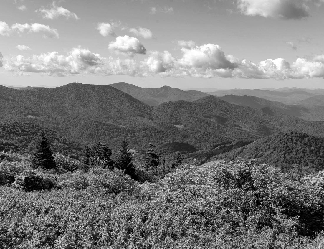 Noah Jigsaw Puzzle Hallstatt, Austria - Scenic picture-postcard view of famous Hallstatt village reflecting in Hallstattersee lake in the Austrian Alps in beautiful morning light in black white 1000 pieces