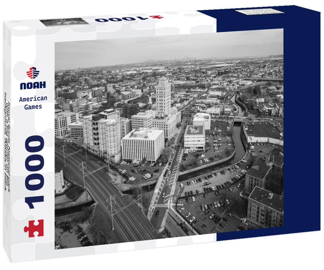 Noah Jigsaw Puzzle Kenai fjords National park with a big glacier on the background, Alaska in black white 1000 pieces