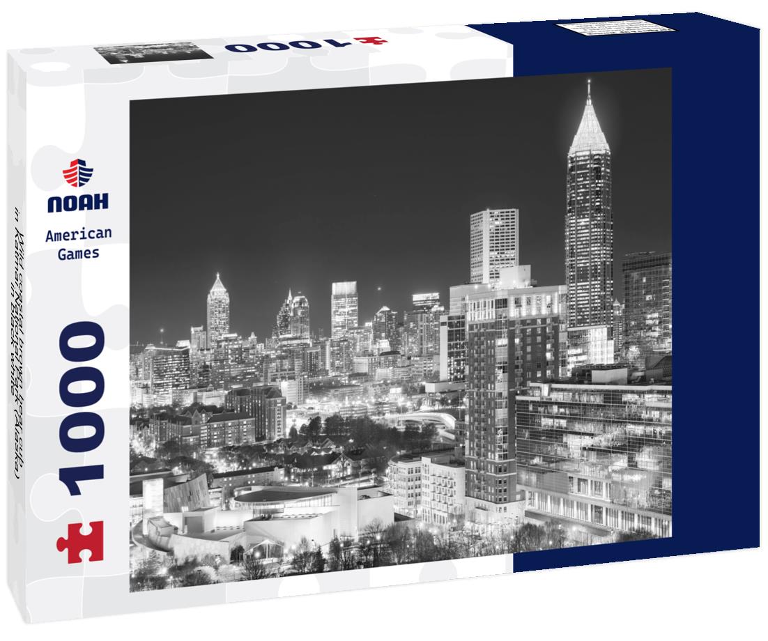 Noah Jigsaw Puzzle Wild coastal brown bear cub in Katmai National Park (Alaska) in black white 1000 pieces