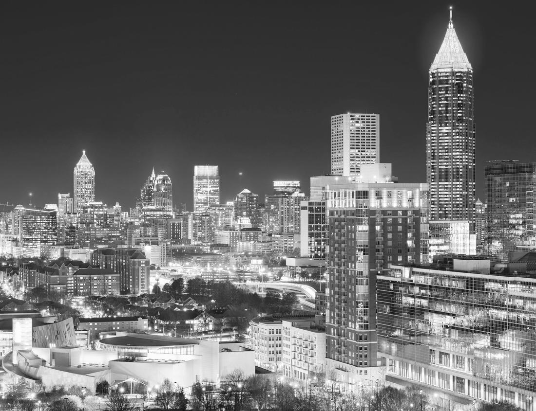 Noah Jigsaw Puzzle Wild coastal brown bear cub in Katmai National Park (Alaska) in black white 1000 pieces