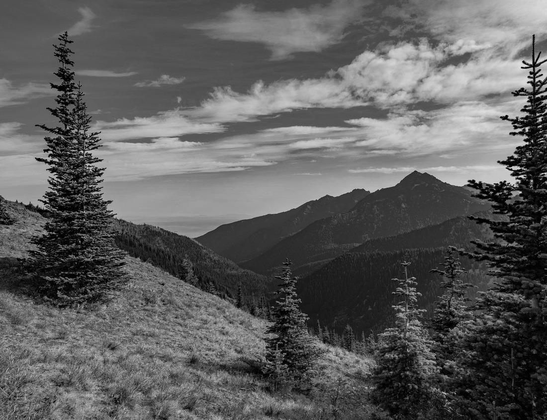 Noah Jigsaw Puzzle Anchorage with First and Last House and Cape Cornwall in the distance, Land's End, Cornwall, United Kingdom in black white 1000 pieces