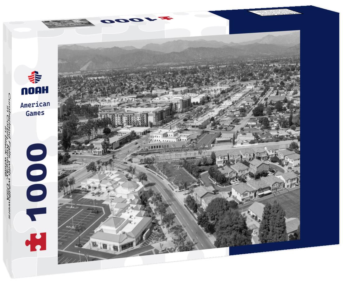 Noah Jigsaw Puzzle Cumberland Falls with wildflowers in Corbin, Kentucky, USA in black white 1000 pieces