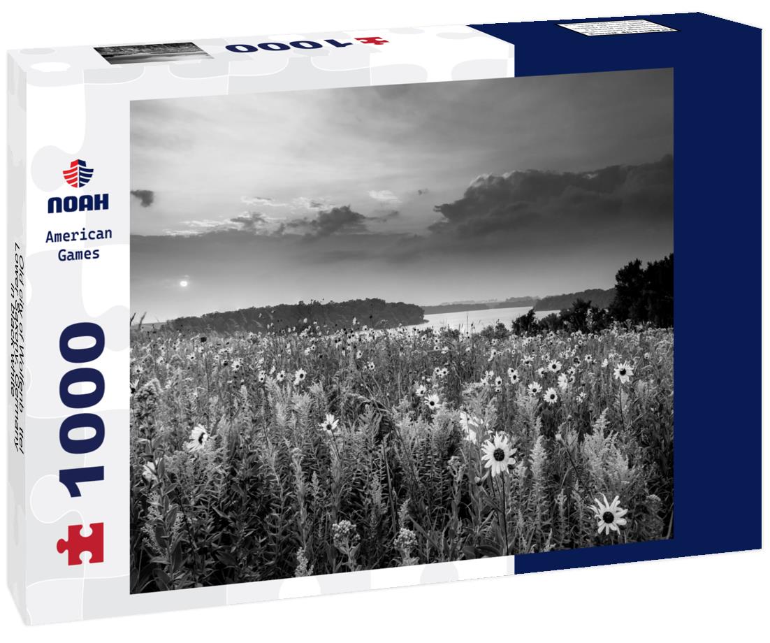 Noah Jigsaw Puzzle Old city of Wolfenbüttel, Lower Saxony, Germany in black white 1000 pieces