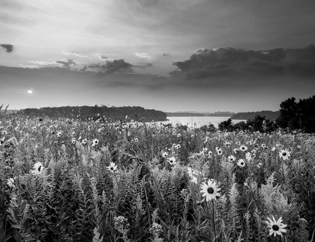 Noah Jigsaw Puzzle Old city of Wolfenbüttel, Lower Saxony, Germany in black white 1000 pieces