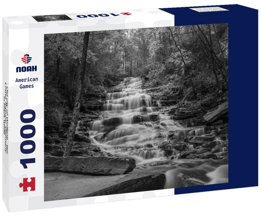 Noah Jigsaw Puzzle Old city of Wolfenbüttel, Lower Saxony, Germany in black white 1000 pieces