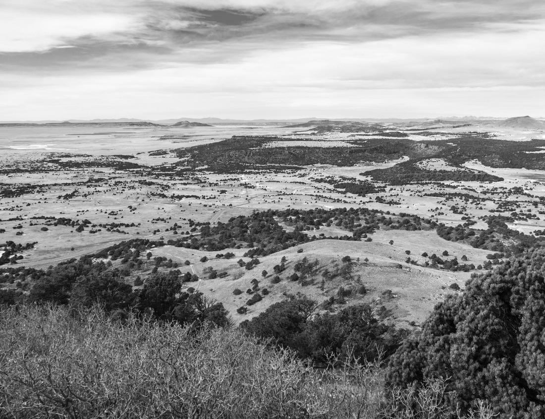 Noah Jigsaw Puzzle Round Hay bales on the open prairies after fall harvest in Rocky View County Alberta Canada in black white 1000 pieces