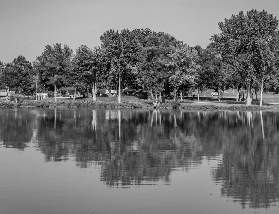 Noah Jigsaw Puzzle Westwood historic town center aerial view on High Street at fall in town of Westwood, Massachusetts MA, USA in black white 1000 pieces