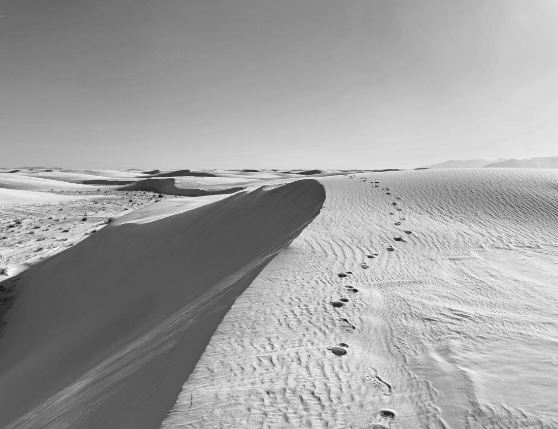 Noah Jigsaw Puzzle Beautiful winter view of the old town square of Prague, Czech Republic, with a christmas market and the famous Tyn Church with snow in black white 1000 pieces