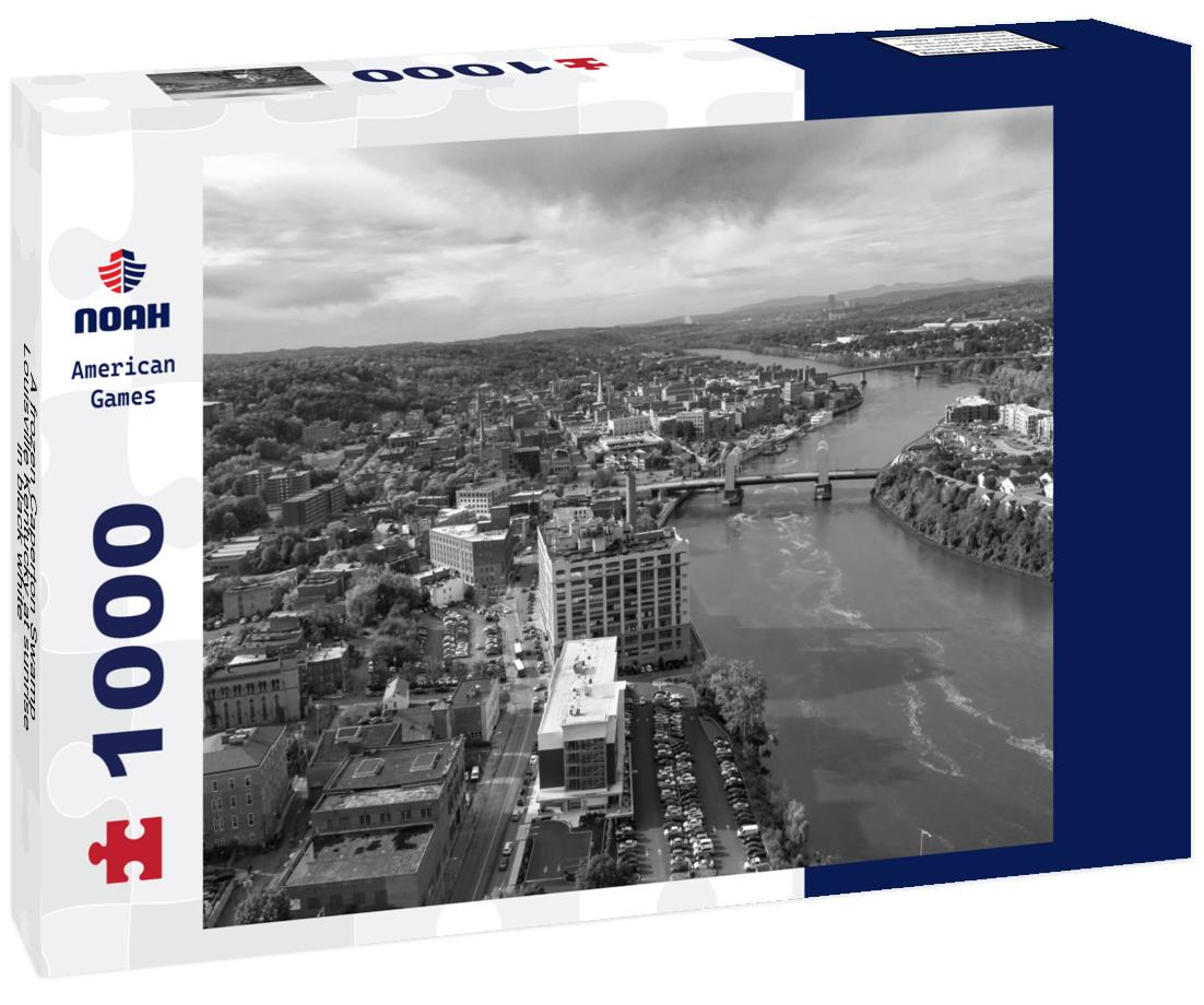 Noah Jigsaw Puzzle A frozen Caperton Swamp Louisville Kentucky at sunrise in black white 1000 pieces