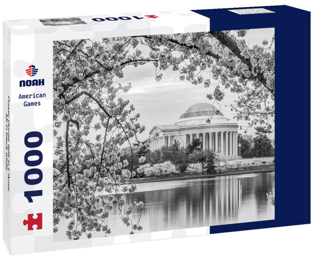 Noah Jigsaw Puzzle Power House falls in L'Anse, MI in black white 1000 pieces