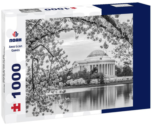 Noah Jigsaw Puzzle Power House falls in L'Anse, MI in black white 1000 pieces