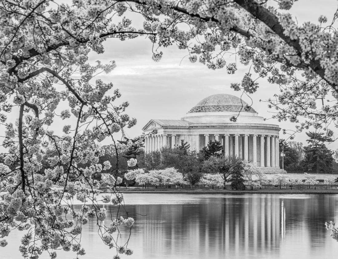 Noah Jigsaw Puzzle Power House falls in L'Anse, MI in black white 1000 pieces