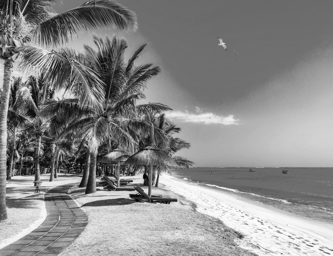 Noah Jigsaw Puzzle Jasper National Park. Alberta. Canadian Rockies. Red stag grazing on the river bank. Scenic mountains surround the waterfall and river Athabasca in black white 1000 pieces