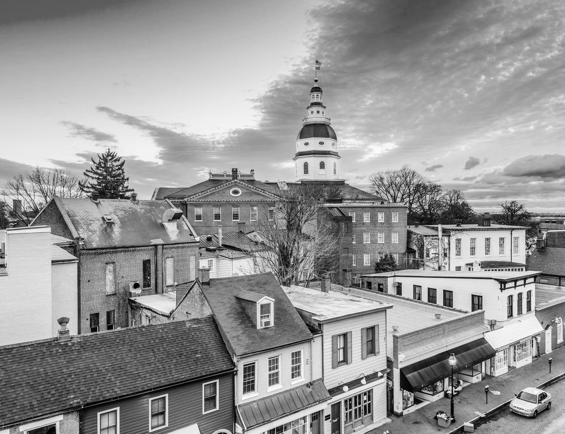 Noah Jigsaw Puzzle Lake Hofvijver, in Den Haag, Netherlands in black white 1000 pieces