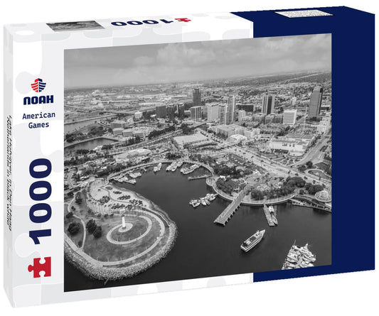 Noah Jigsaw Puzzle Lake Hofvijver, in Den Haag, Netherlands in black white 1000 pieces