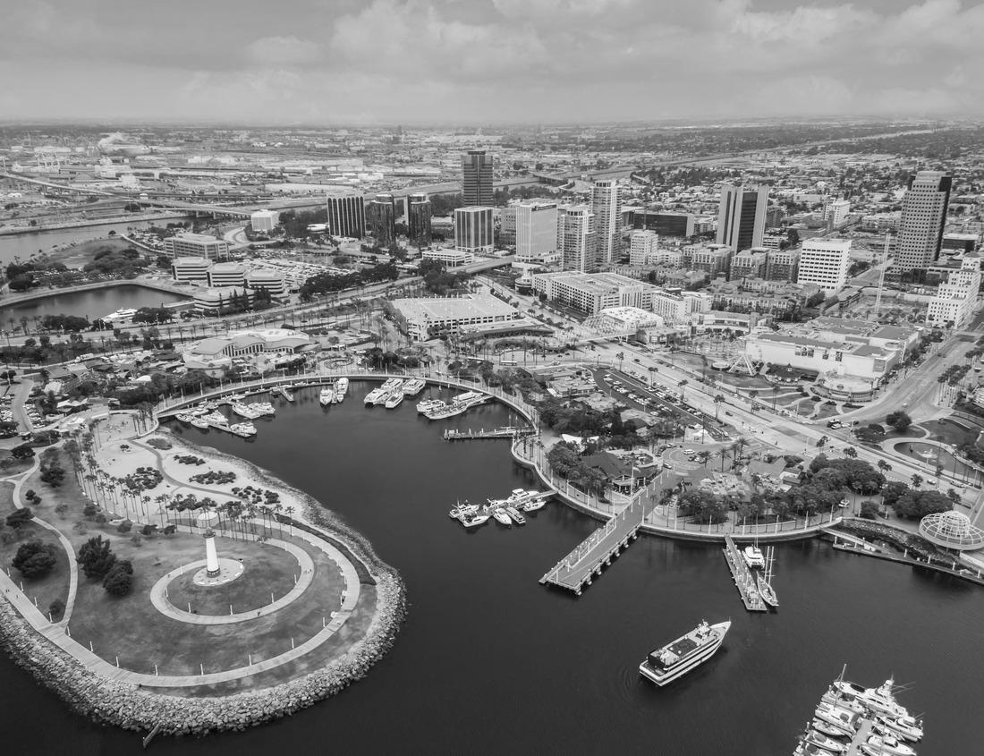 Noah Jigsaw Puzzle Lake Hofvijver, in Den Haag, Netherlands in black white 1000 pieces