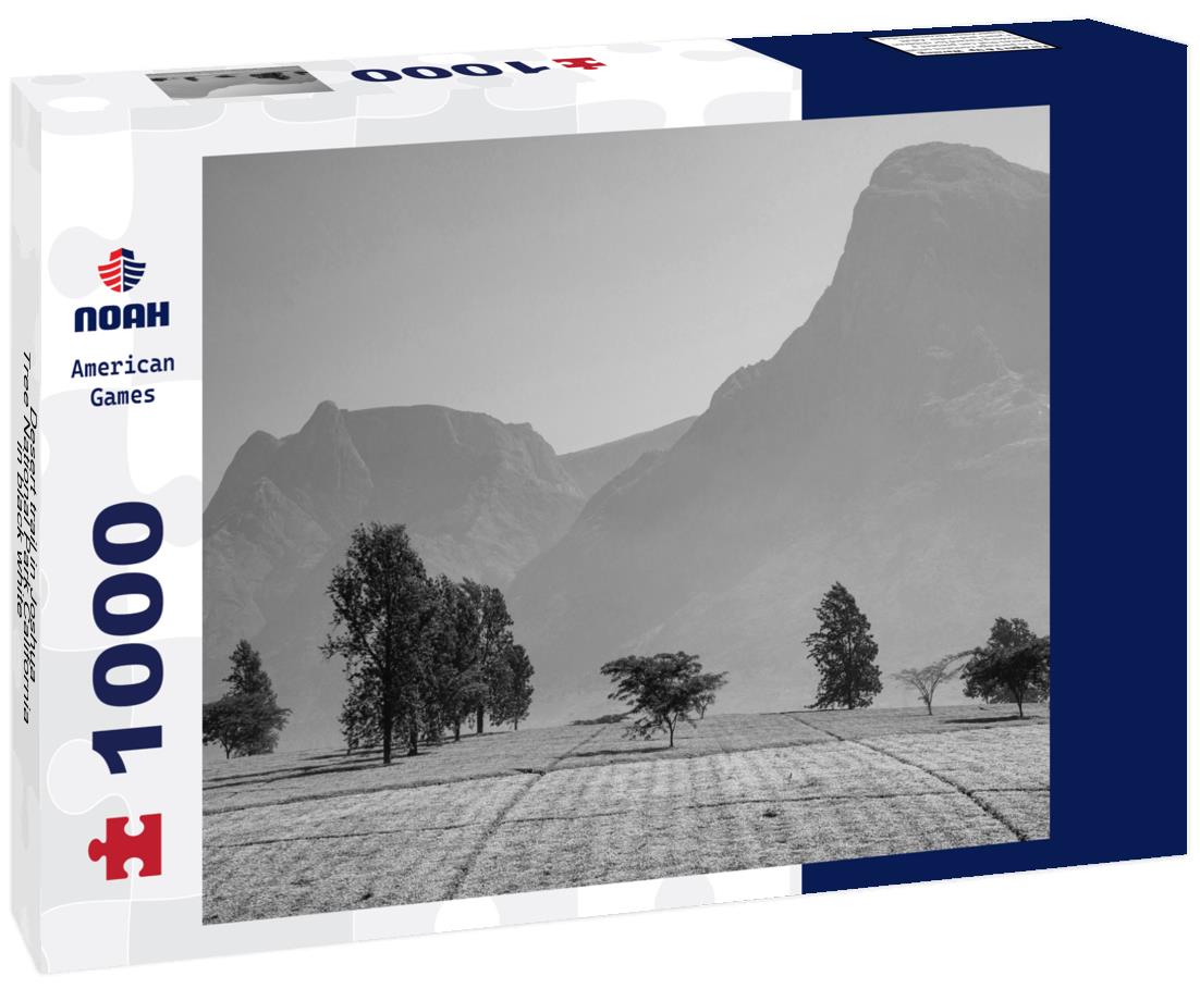 Noah Jigsaw Puzzle Desert trail in Joshua Tree National Park California in black white 1000 pieces