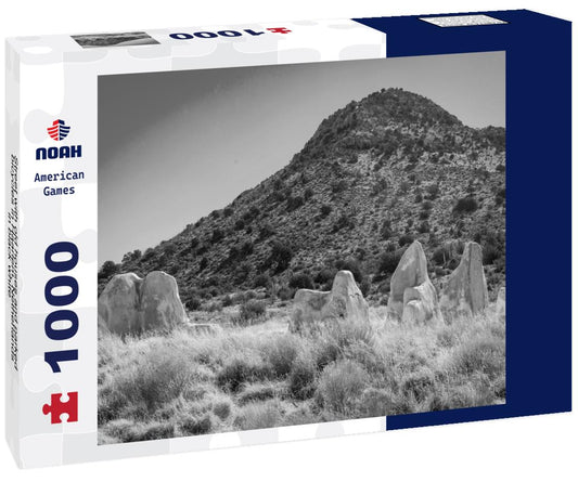 Noah Jigsaw Puzzle Street with old houses and parked bicycles in Haarlem, Netherlands in black white 1000 pieces