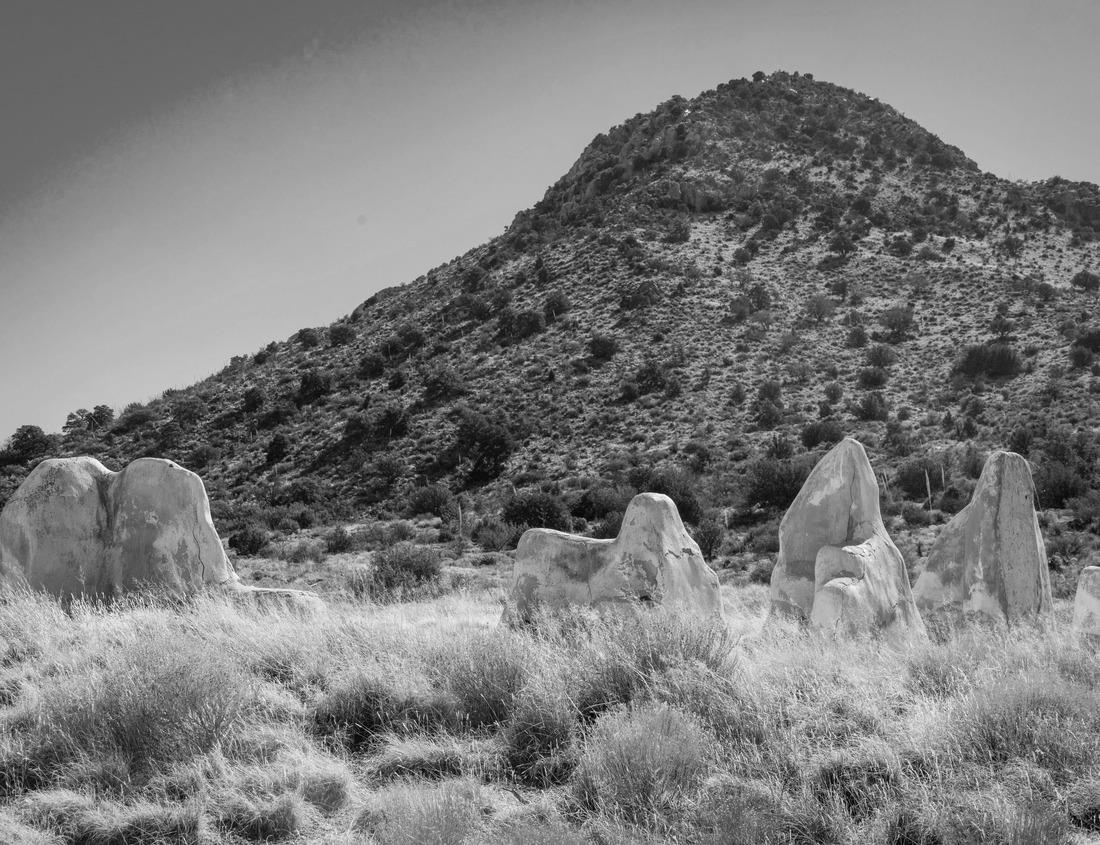 Noah Jigsaw Puzzle Street with old houses and parked bicycles in Haarlem, Netherlands in black white 1000 pieces