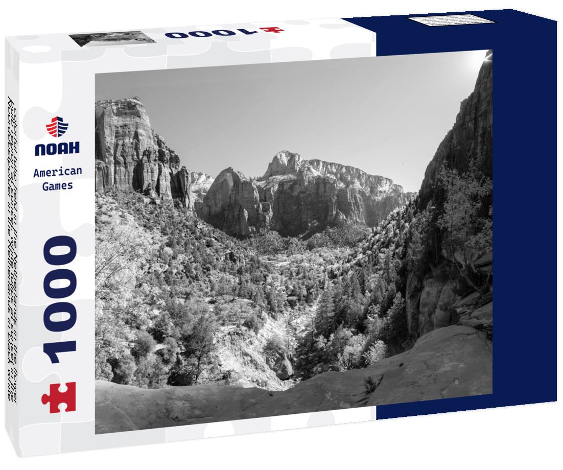 Noah Jigsaw Puzzle colorful tulip field in the Netherlands in the flower bulb region at sunset, white tulips at sunset in the Noordoostpolder in the Netherlands in black white 1000 pieces