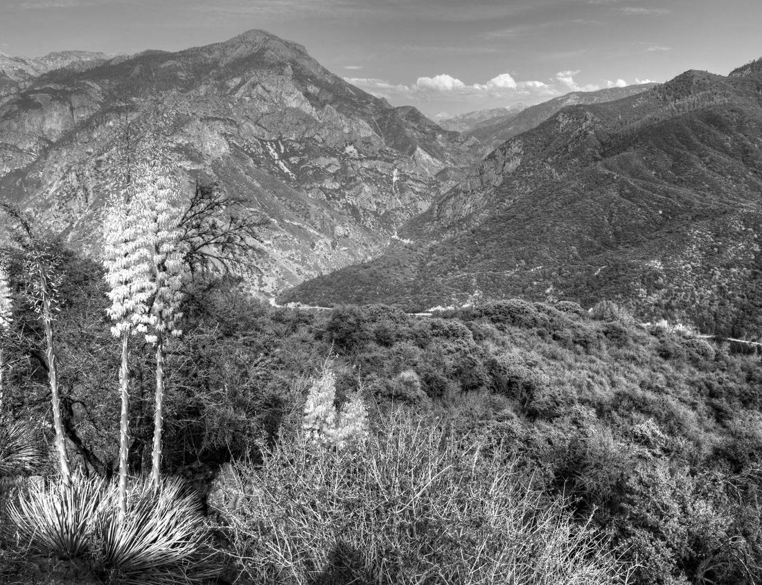 Noah Jigsaw Puzzle Landscape view of Covilhã, Portugal in black white 1000 pieces