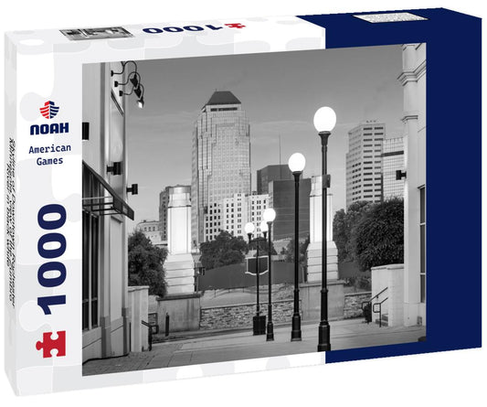 Noah Jigsaw Puzzle Skyline of Downtown Rochester, Minnesota, view of the Zumbro River in black white 1000 pieces