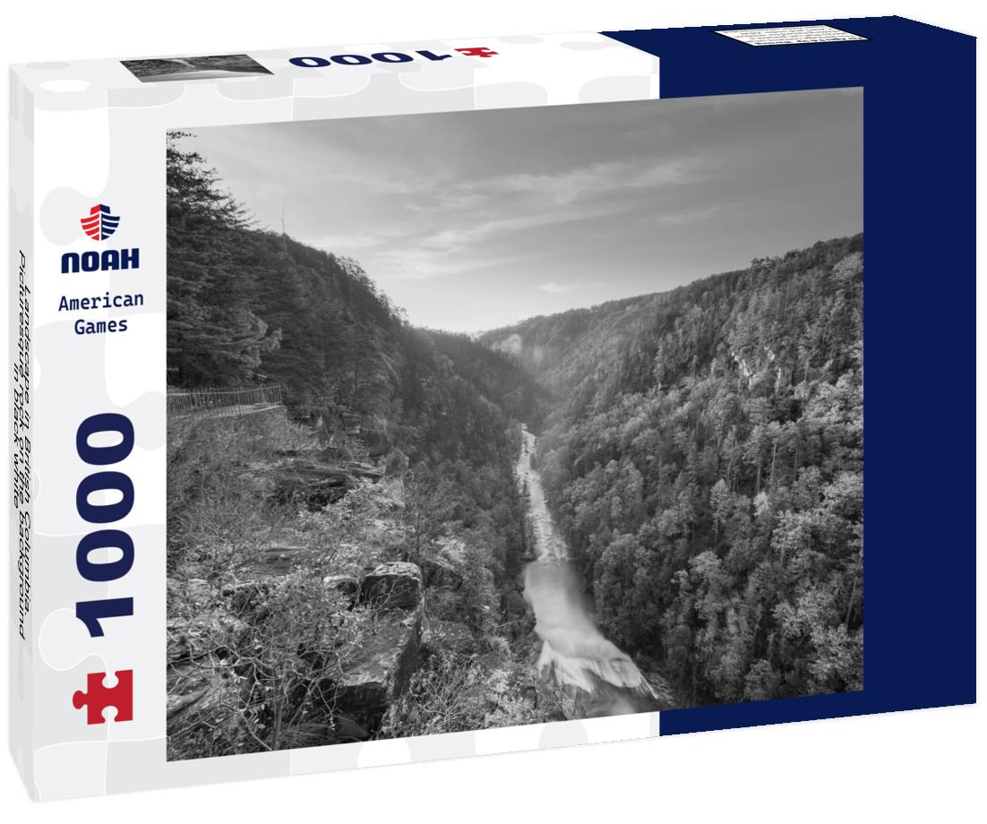 Noah Jigsaw Puzzle Landscape in British Columbia. Picturesque rock on the background in black white 1000 pieces