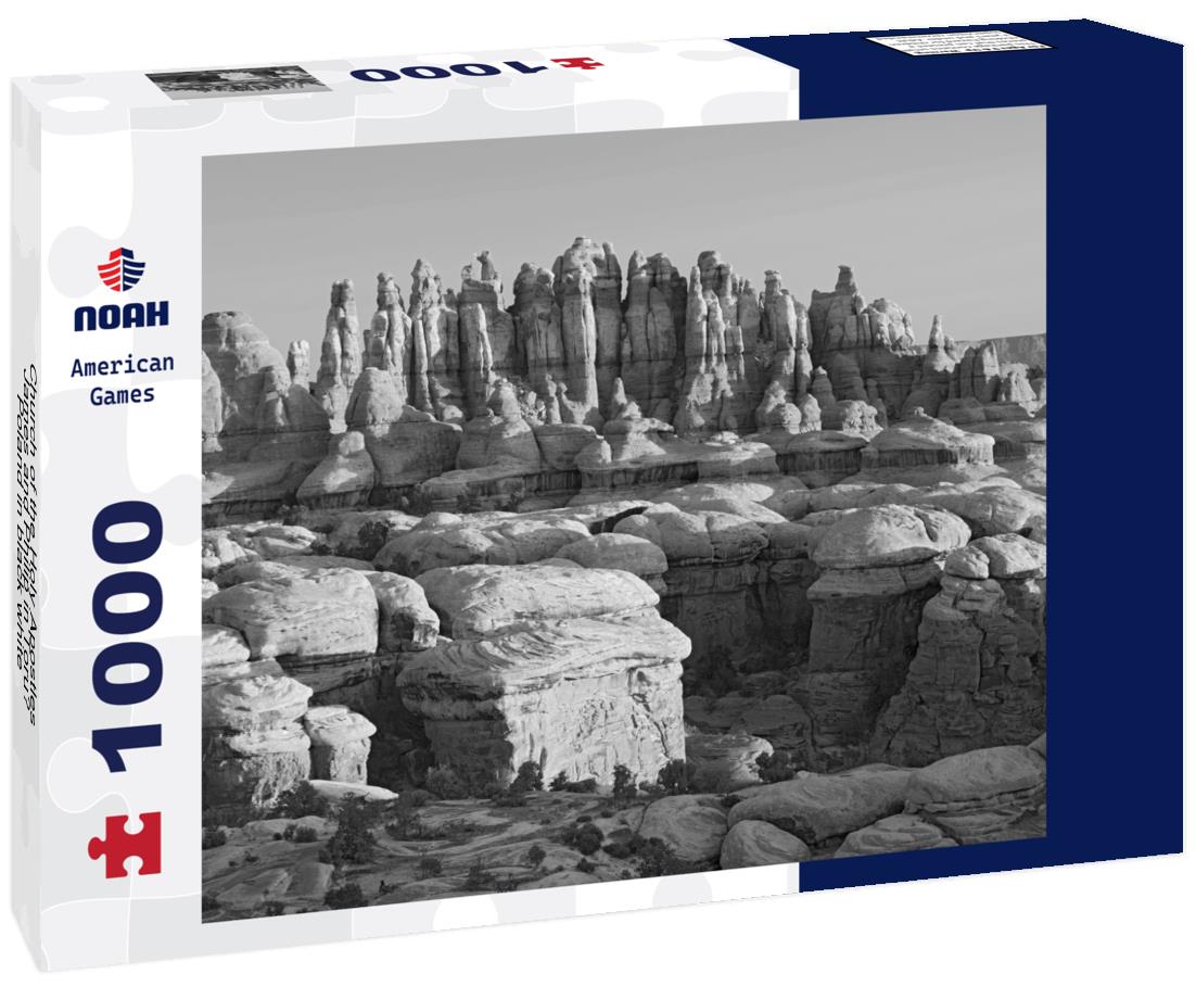 Noah Jigsaw Puzzle Church of the Holy Apostles James and Philip in Torun, Poland in black white 1000 pieces