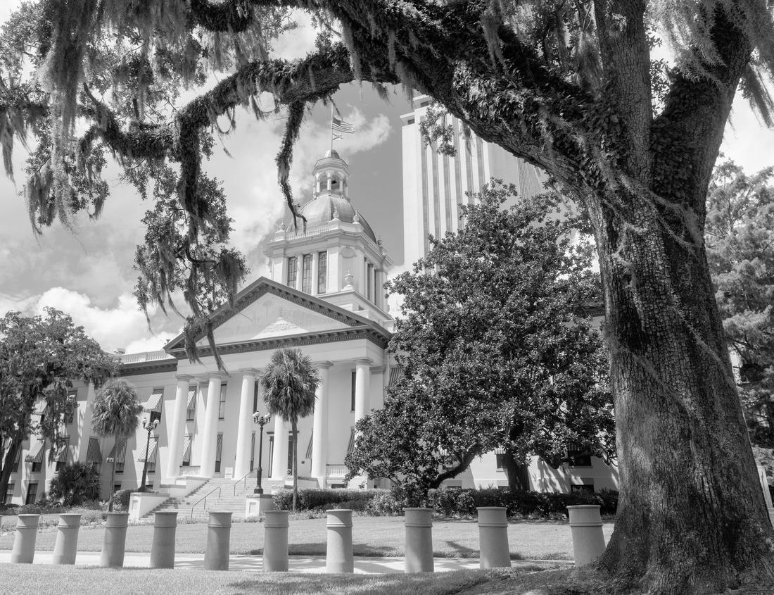 Noah Jigsaw Puzzle Market and historical city of Gütersloh, Germany in black white 1000 pieces