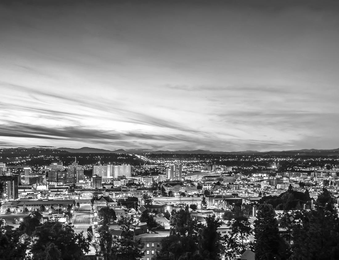 Noah Jigsaw Puzzle Spokane Washington downtown center church cathedral in black white 1000 pieces