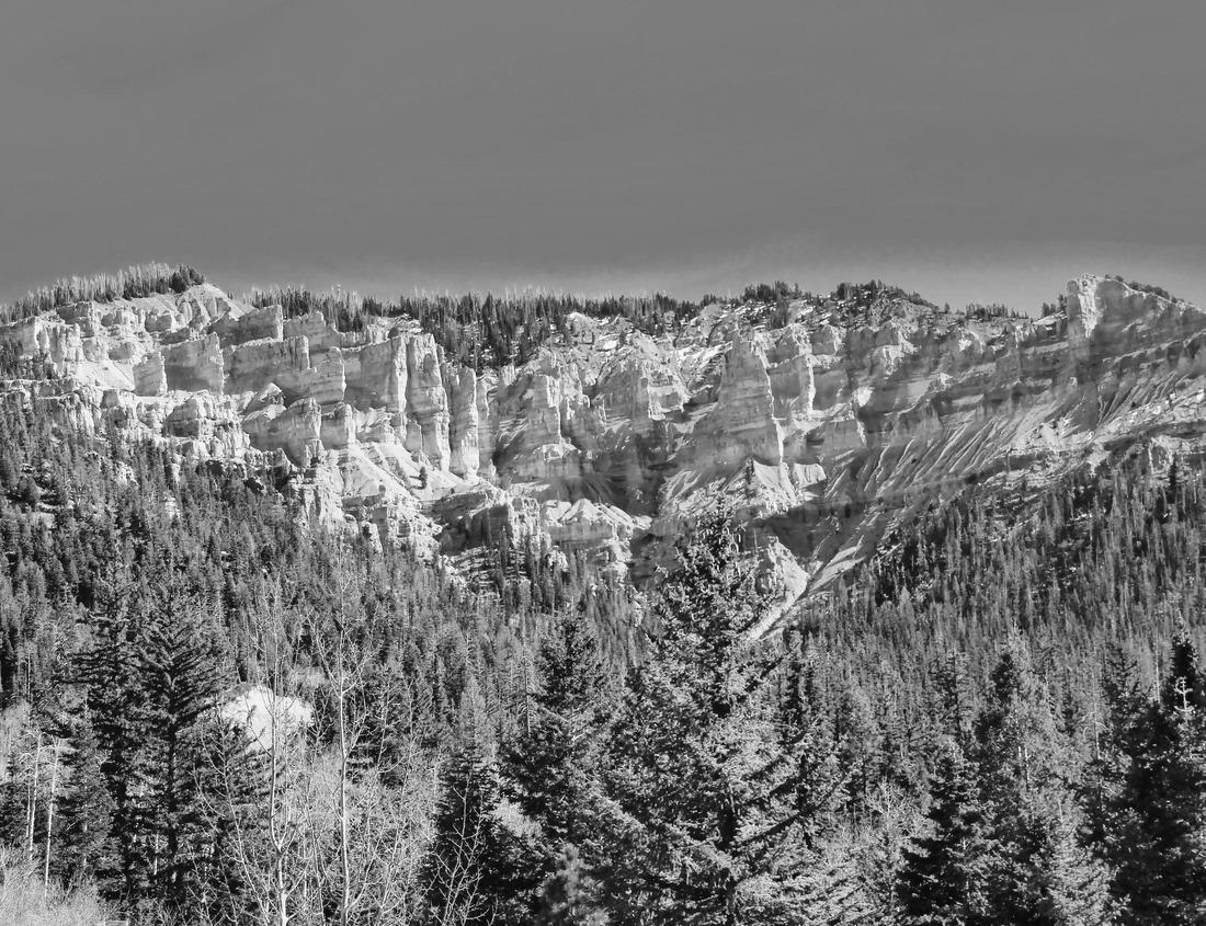 Noah Jigsaw Puzzle Painted Ladies Victorian houses in Alamo Square and a view of the San Francisco skyline and skyscrapers. Photo processed, in pastel colors in black white 1000 pieces