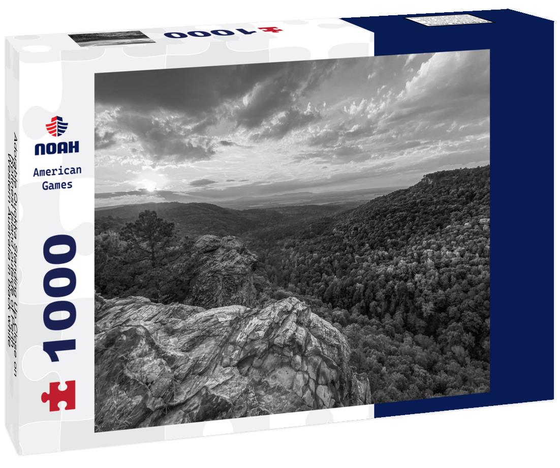 Noah Jigsaw Puzzle Adorable Quokka Standing Up Close on Rottnest Island outside of Perth, Western Australia in black white 1000 pieces