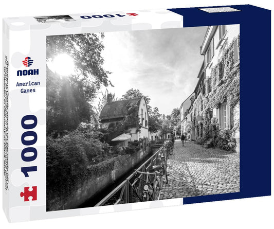Noah Jigsaw Puzzle Breuberg Castle stands on the castle hill of the town of Breuberg in the Odenwald district of Hessen in Germany in black white 1000 pieces