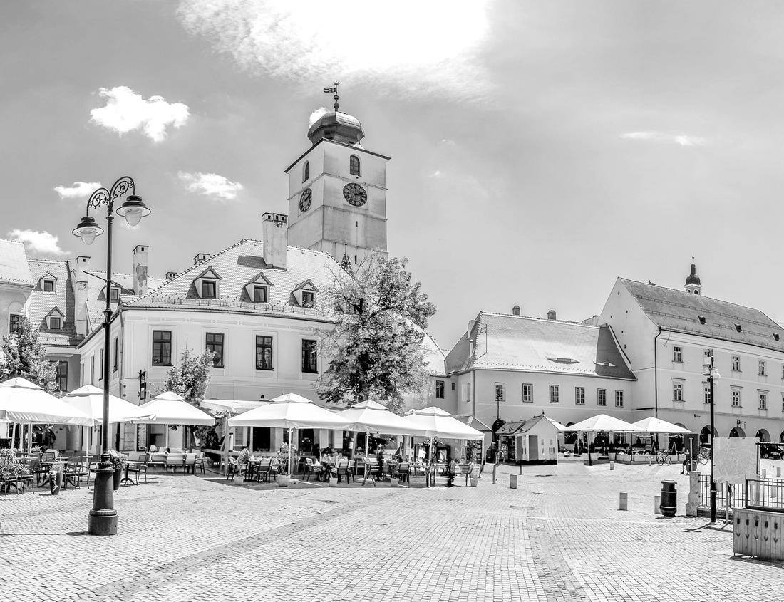 Noah Jigsaw Puzzle Bratislava, Slovakia. Panoramic rooftop view of the Castle, the cathedral and the old town square in black white 1000 pieces