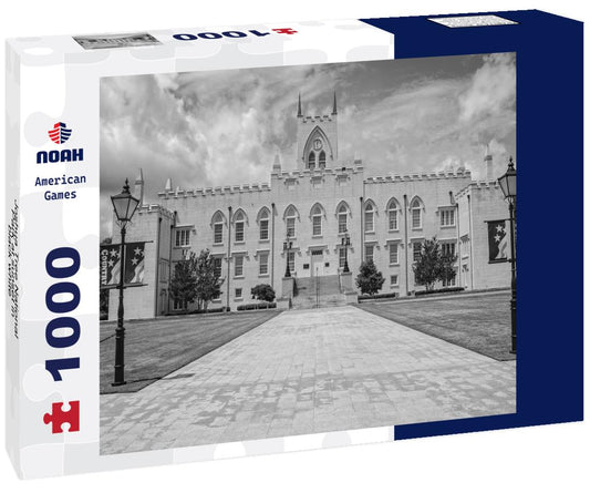 Noah Jigsaw Puzzle Joshua Tree National Park at sunset in black white 1000 pieces